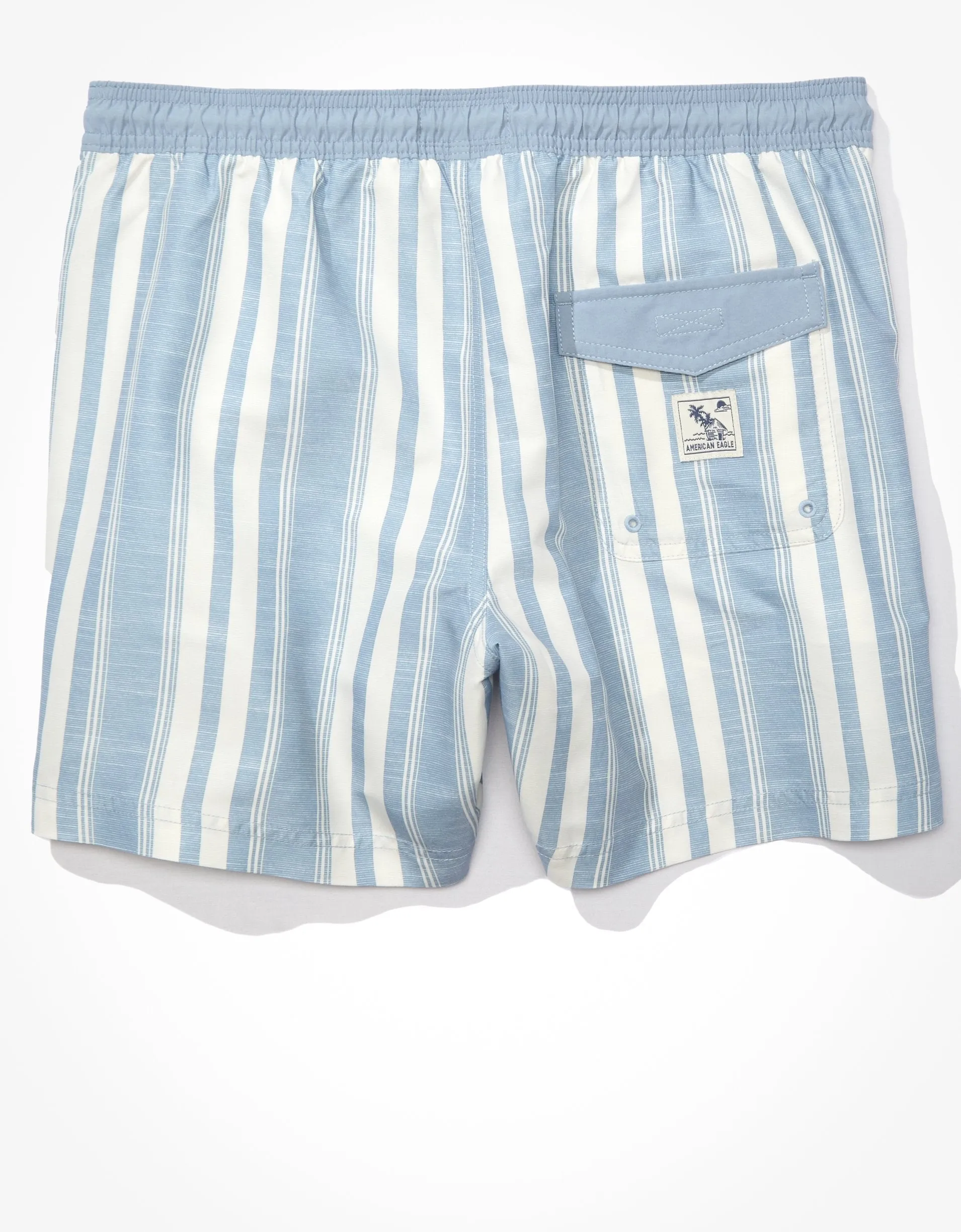 AE 5.5" Striped Swim Trunk