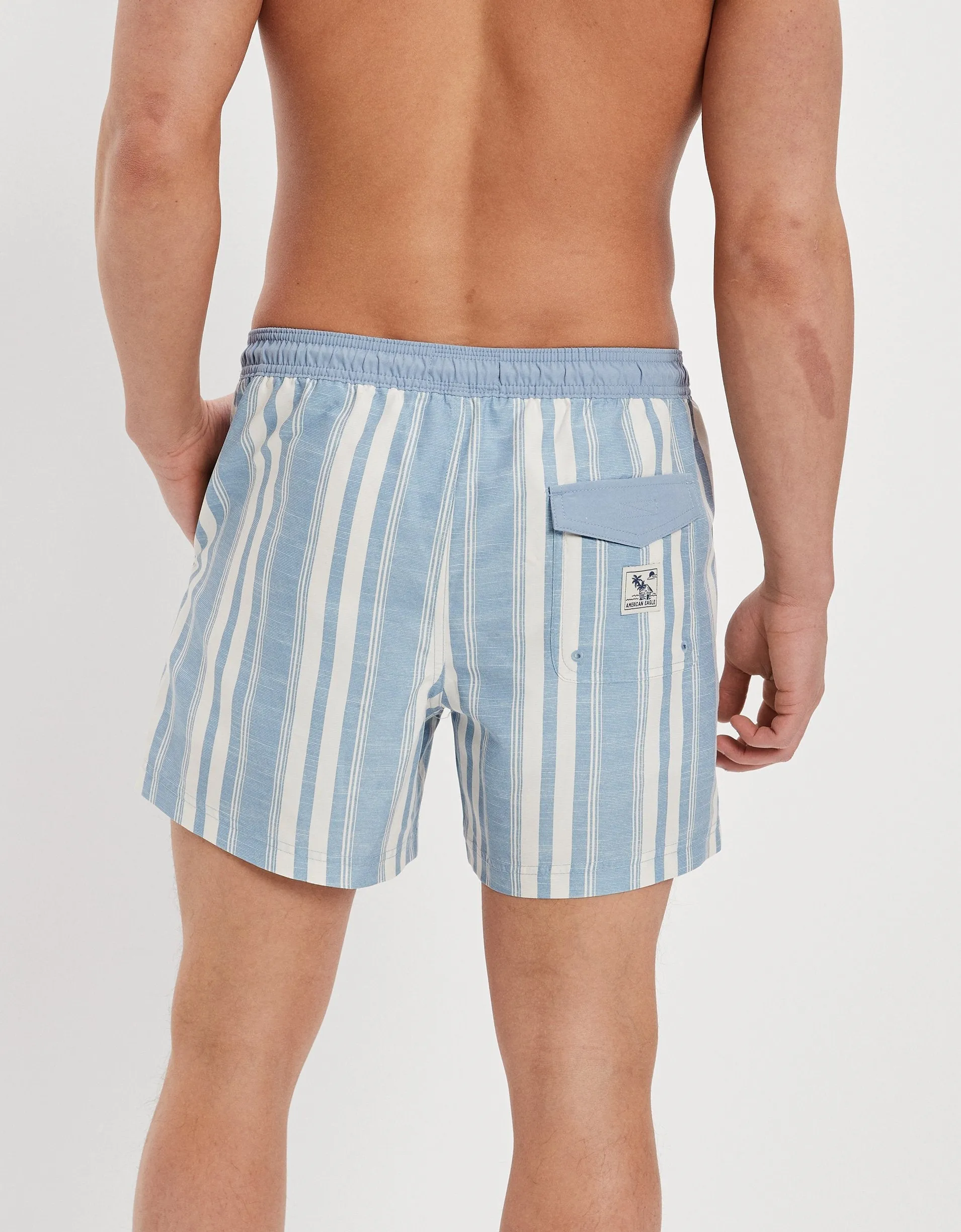 AE 5.5" Striped Swim Trunk