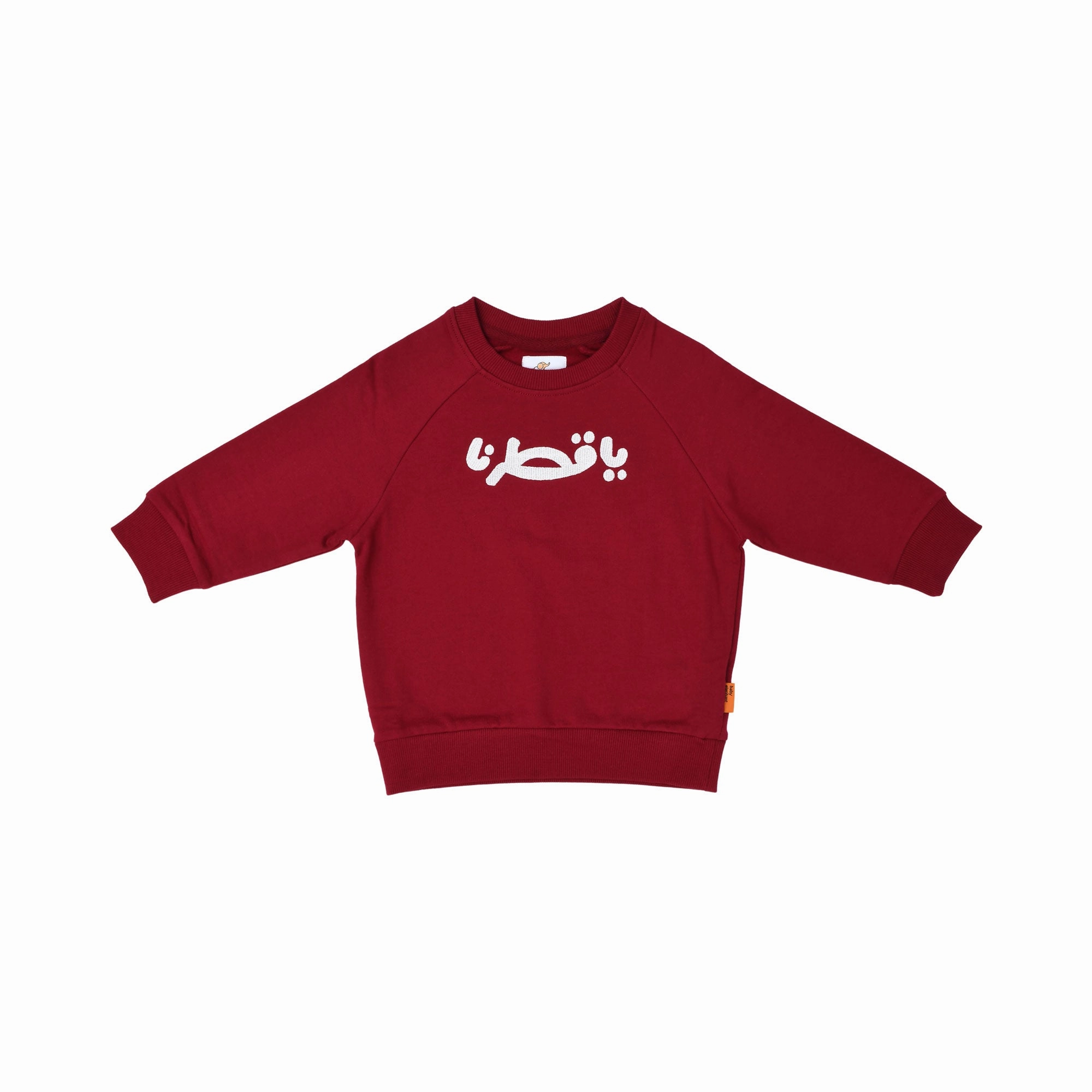 Baby Elephant Kids Babies Burgundy Sweatshirt
