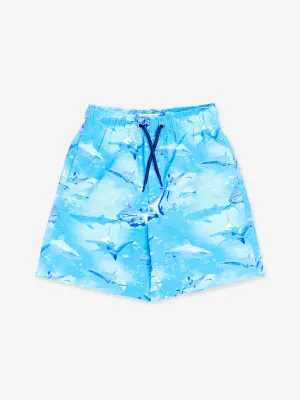 Boys Shark Beach Shorts in Blue (UPF50 )