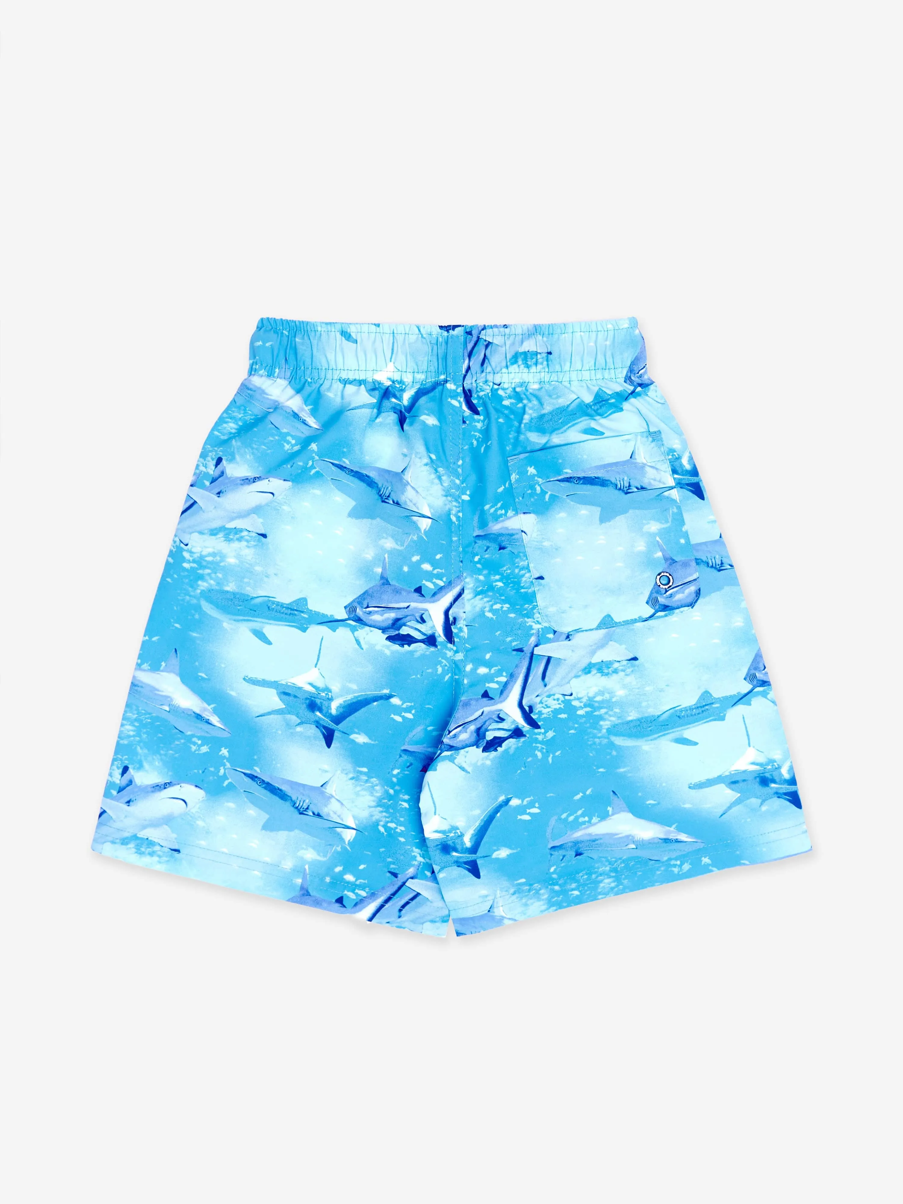 Boys Shark Beach Shorts in Blue (UPF50 )