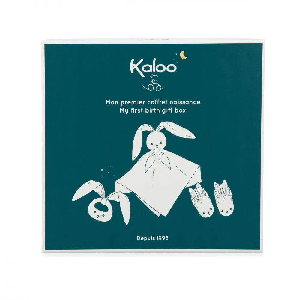 K218013 Babykids_kaloo