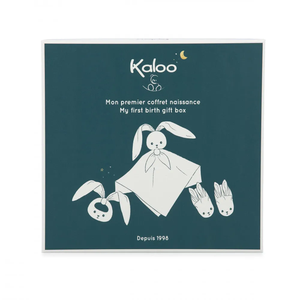 K218019 Babykids_kaloo