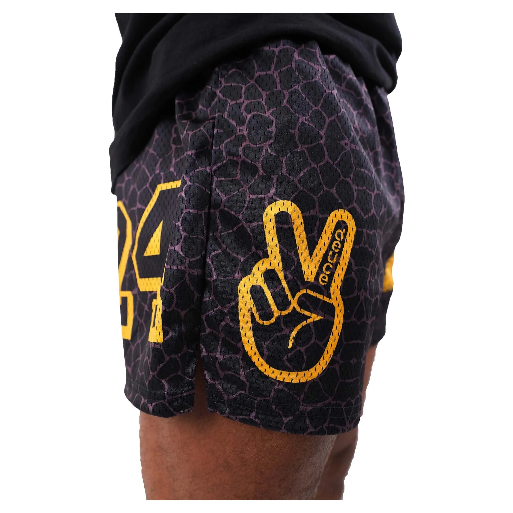 Men's Mesh Shorts