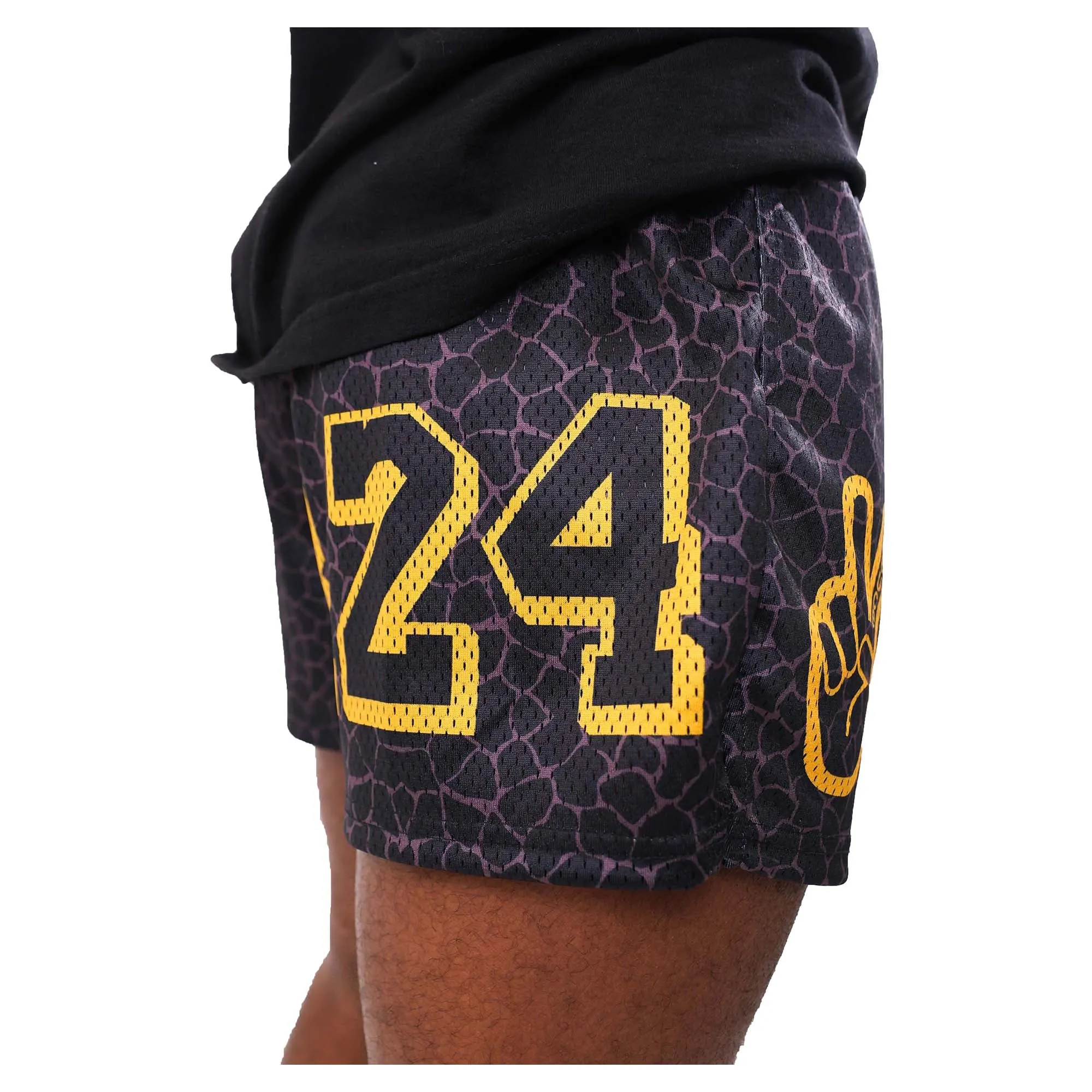 Men's Mesh Shorts