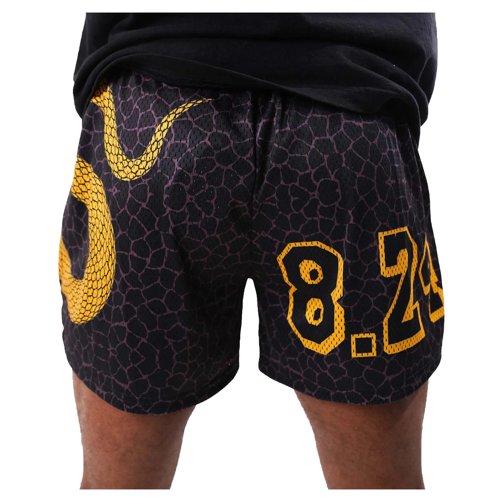 Men's Mesh Shorts